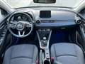 Mazda 2 1.5 m-hybrid Evolve I-Activsense Skyactive 90cv Blu/Azzurro - thumbnail 11