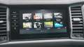 Skoda Kodiaq 1.5 TSI 150pk DSG Business Edition Plus Pano.Dak T Grijs - thumbnail 19