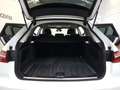 Audi A6 40 TDI Sport Panoramadach Sportsitze Blanc - thumbnail 12