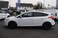 Ford Focus 1.6 EcoBoost Start-Stopp-System Titanium Blanc - thumbnail 8