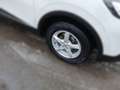 Renault Kadjar KADJAR Bose Energy dCi 110 EDC 6-Gang Weiß - thumbnail 5