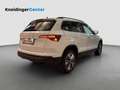 Skoda Karoq Ambition TDI DSG Weiß - thumbnail 5