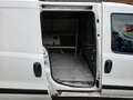 Fiat Doblo Kasten Lang/2.Stz/PDC Blanc - thumbnail 14