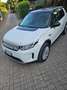 Land Rover Discovery Sport Discovery Sport 2020 2.0 si4 mhev S awd 200cv auto Bianco - thumbnail 19