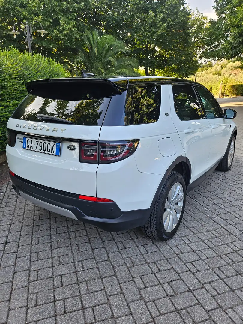 Land Rover Discovery Sport Discovery Sport 2020 2.0 si4 mhev S awd 200cv auto Bianco - 2