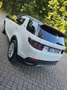 Land Rover Discovery Sport Discovery Sport 2020 2.0 si4 mhev S awd 200cv auto Bianco - thumbnail 18