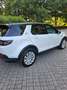 Land Rover Discovery Sport Discovery Sport 2020 2.0 si4 mhev S awd 200cv auto Bianco - thumbnail 26
