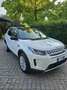 Land Rover Discovery Sport Discovery Sport 2020 2.0 si4 mhev S awd 200cv auto Bianco - thumbnail 13