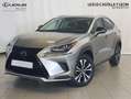 Lexus NX 300 300h Premium 2WD Gris - thumbnail 1