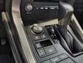 Lexus NX 300 300h Premium 2WD Gris - thumbnail 14