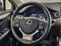 Lexus NX 300 300h Premium 2WD Gris - thumbnail 18