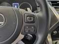 Lexus NX 300 300h Premium 2WD Gris - thumbnail 13