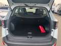 Kia Sportage PHEV 1.6 T-GDI AWD *Navi*Kamera*LED Weiß - thumbnail 9