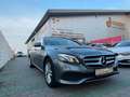 Mercedes-Benz E 200 E200d T-Modell Burmeister LED Gris - thumbnail 4