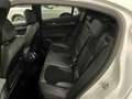 Alfa Romeo Stelvio 2.9 Bi-Turbo Q4 Quadrifoglio AT8 Blanco - thumbnail 16