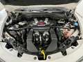 Alfa Romeo Stelvio 2.9 Bi-Turbo Q4 Quadrifoglio AT8 Blanco - thumbnail 28