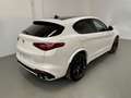 Alfa Romeo Stelvio 2.9 Bi-Turbo Q4 Quadrifoglio AT8 Blanco - thumbnail 9