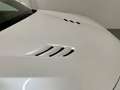 Alfa Romeo Stelvio 2.9 Bi-Turbo Q4 Quadrifoglio AT8 Blanco - thumbnail 27