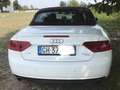 Audi Cabriolet A5 2.0 TFSI 211 CV 4X4 Bianco - thumbnail 7