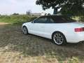 Audi Cabriolet A5 2.0 TFSI 211 CV 4X4 Bianco - thumbnail 8