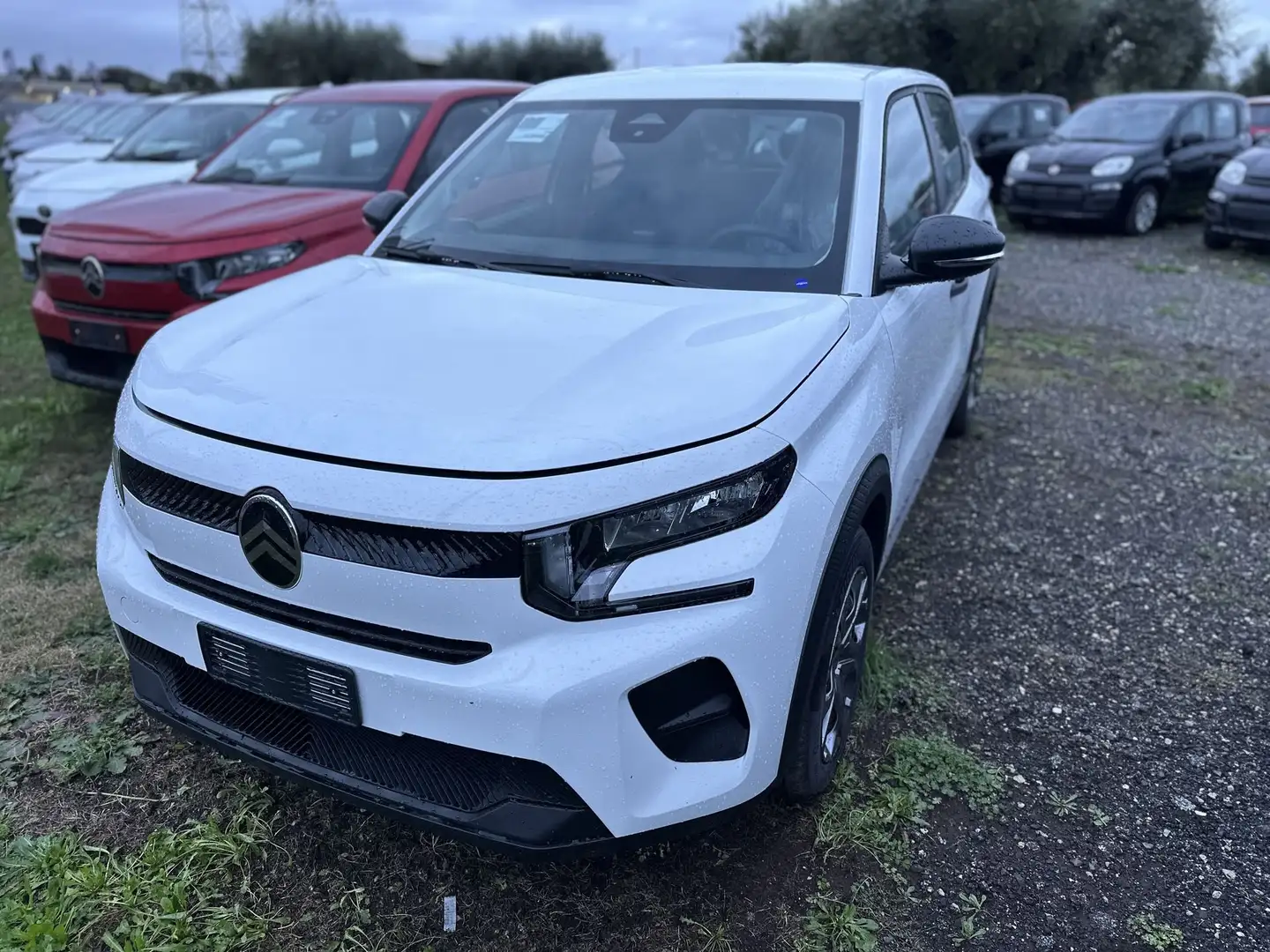 Citroen C3 PureTech 100 S&S You Grigio - 1