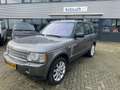 Land Rover Range Rover 4.2 V8 Supercharged/ Young Timer Grijs - thumbnail 1