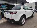 Land Rover Discovery Sport 2.0 TD4 4wd SE AUTO Bianco - thumbnail 3