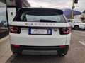 Land Rover Discovery Sport 2.0 TD4 4wd SE AUTO White - thumbnail 4