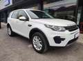 Land Rover Discovery Sport 2.0 TD4 4wd SE AUTO Bianco - thumbnail 7