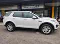 Land Rover Discovery Sport 2.0 TD4 4wd SE AUTO Bianco - thumbnail 1