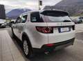 Land Rover Discovery Sport 2.0 TD4 4wd SE AUTO Bianco - thumbnail 5