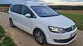 Volkswagen Sharan Sharan Highline BMT 2,0 TDI DSG Highline Weiß - thumbnail 8