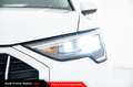 Audi Q3 35 TDI S tronic Business Advanced Bianco - thumbnail 12