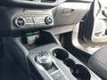 Ford Kuga 1.5 EcoBlue Titanium Aut. LED+NAV+RFK+ASSIST Schwarz - thumbnail 22