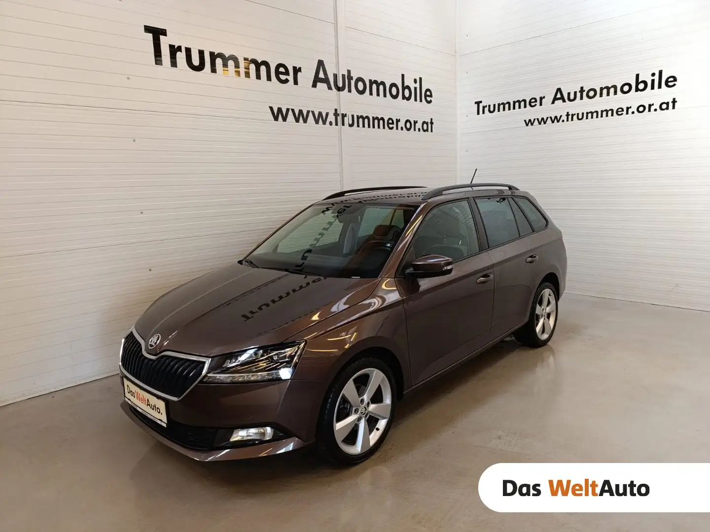 Skoda Fabia Style TSI Braun - 1