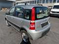 Fiat Panda 1.3 JTD Climbing 4X4 Grau - thumbnail 3