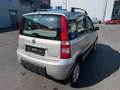 Fiat Panda 1.3 JTD Climbing 4X4 Grau - thumbnail 4