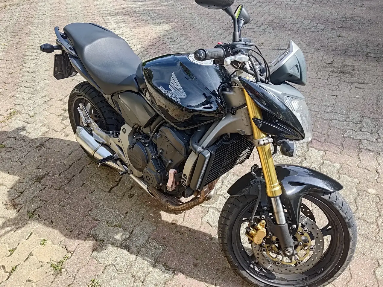 Honda Hornet