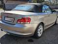 BMW 120 1er Cabrio 120i Cabrio Aut. Beige - thumbnail 5