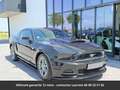 Ford Mustang Tout compris hors homologation 4500e Noir - thumbnail 12