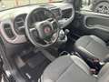 Fiat Panda Panda 1.0 firefly hybrid Sport *PREZZO REALE* Nero - thumbnail 11