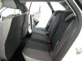 SEAT Ibiza ST 1.4 TDI  Manuale 5P * OK NEOPATENTATI * Bianco - thumbnail 7