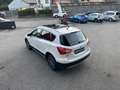 Suzuki S-Cross S-Cross 1.6 VVT 4WD All Grip Cool Blanc - thumbnail 21