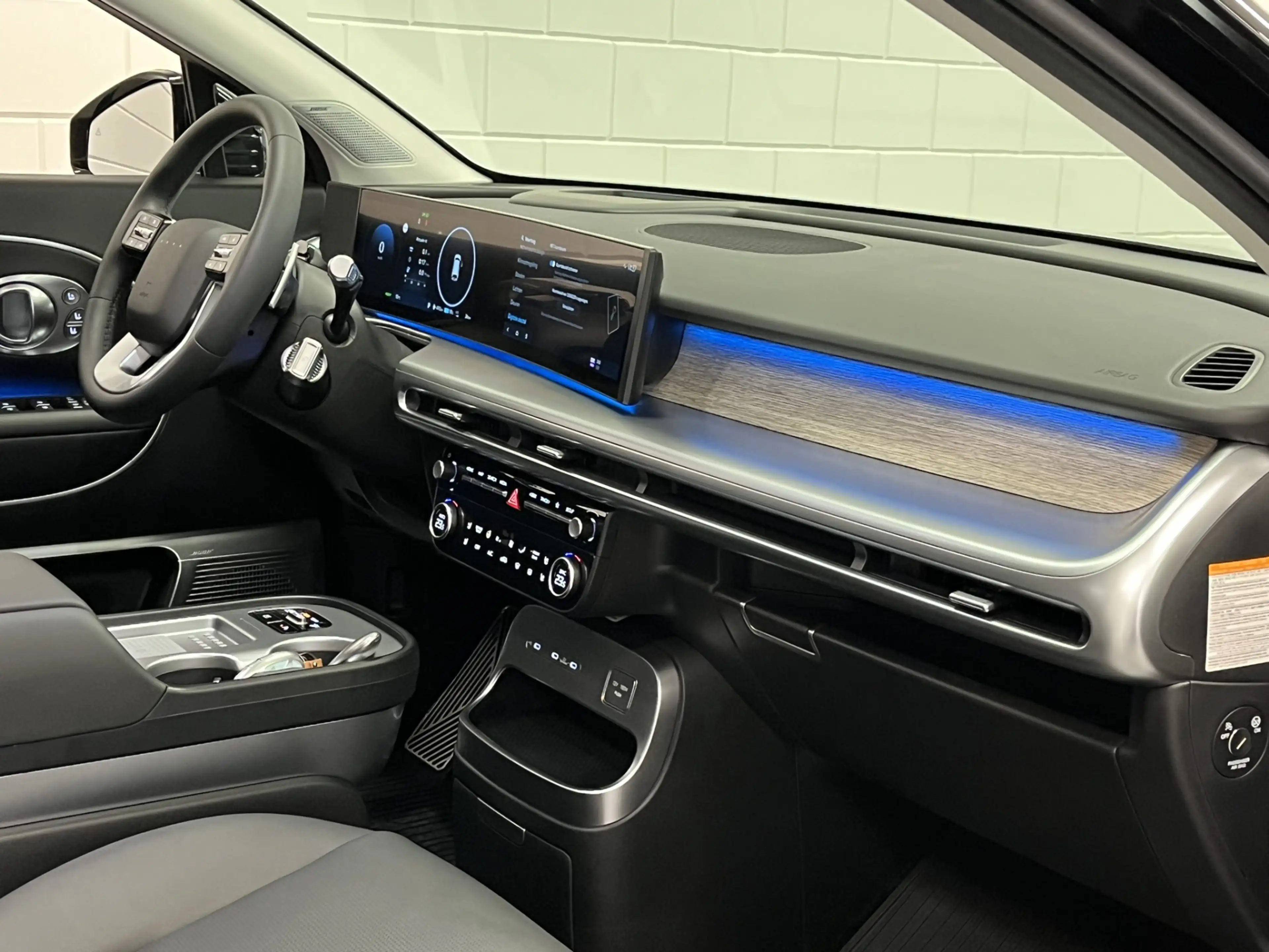 Hyundai IONIQ 9 Connect+ AWD 7p. 110.3 kWh WEGKLAPBARE TREKHAAK | — photo 15