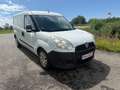 Fiat Doblo Maxi Weiß - thumbnail 1