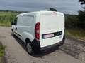 Fiat Doblo Maxi Weiß - thumbnail 4