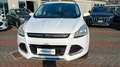 Ford Kuga 2.0 tdci Titanium 2wd 140cv Weiß - thumbnail 11