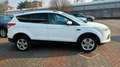Ford Kuga 2.0 tdci Titanium 2wd 140cv Weiß - thumbnail 14