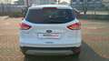 Ford Kuga 2.0 tdci Titanium 2wd 140cv Weiß - thumbnail 13