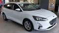 Ford Focus Focus V 2018 SW SW 1.5 ecoblue Business s Bianco - thumbnail 1